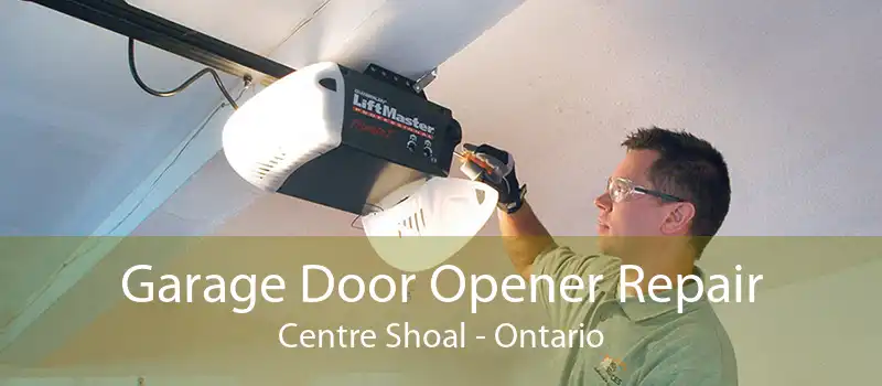 Garage Door Opener Repair Centre Shoal - Ontario