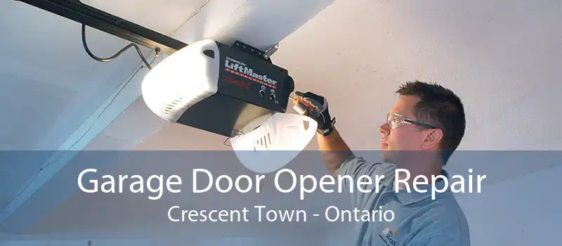 Garage Door Opener Repair Crescent Town - Ontario