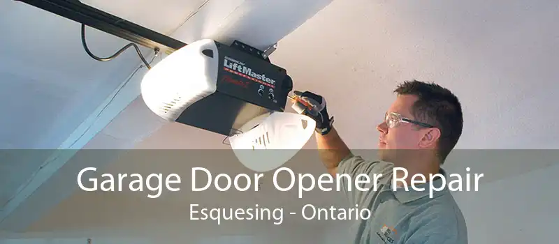 Garage Door Opener Repair Esquesing - Ontario