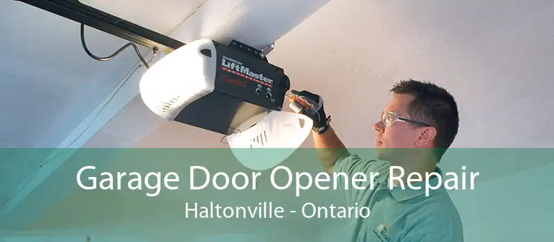 Garage Door Opener Repair Haltonville - Ontario