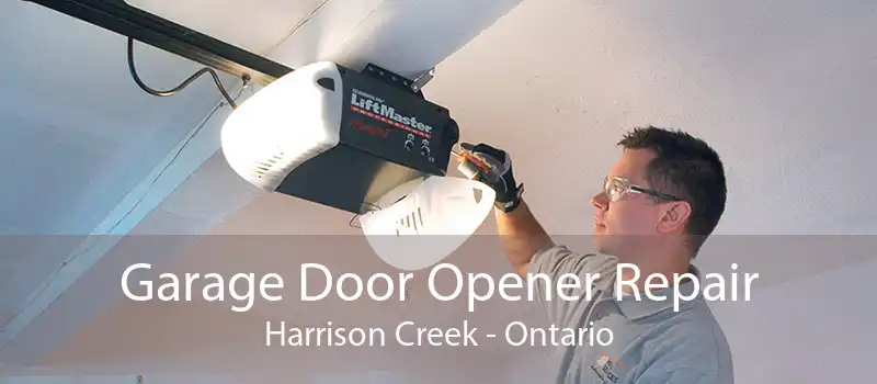 Garage Door Opener Repair Harrison Creek - Ontario