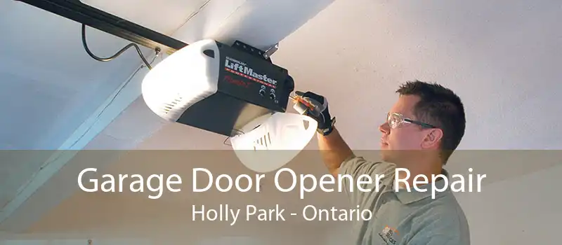 Garage Door Opener Repair Holly Park - Ontario