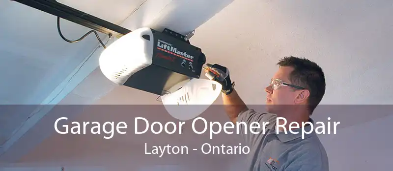 Garage Door Opener Repair Layton - Ontario