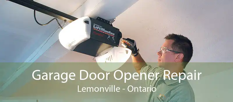 Garage Door Opener Repair Lemonville - Ontario
