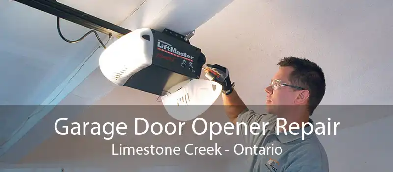 Garage Door Opener Repair Limestone Creek - Ontario