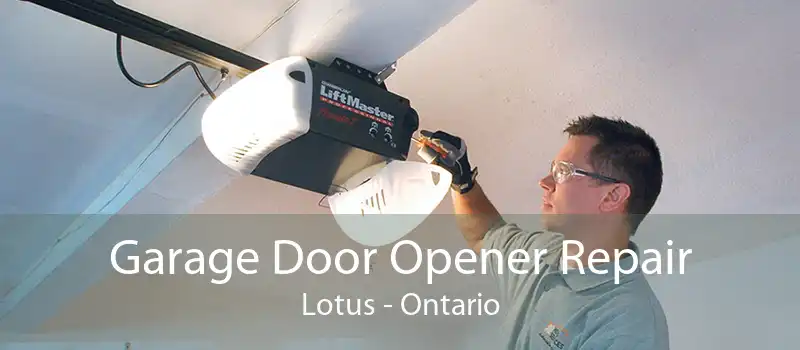 Garage Door Opener Repair Lotus - Ontario