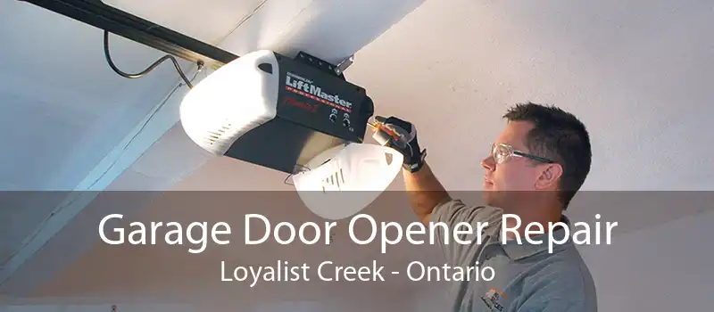 Garage Door Opener Repair Loyalist Creek - Ontario