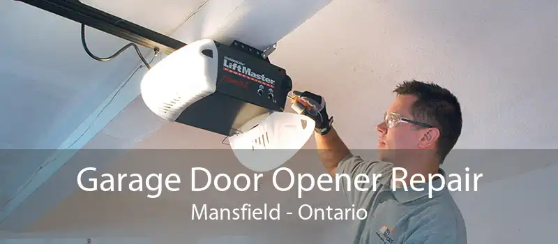 Garage Door Opener Repair Mansfield - Ontario