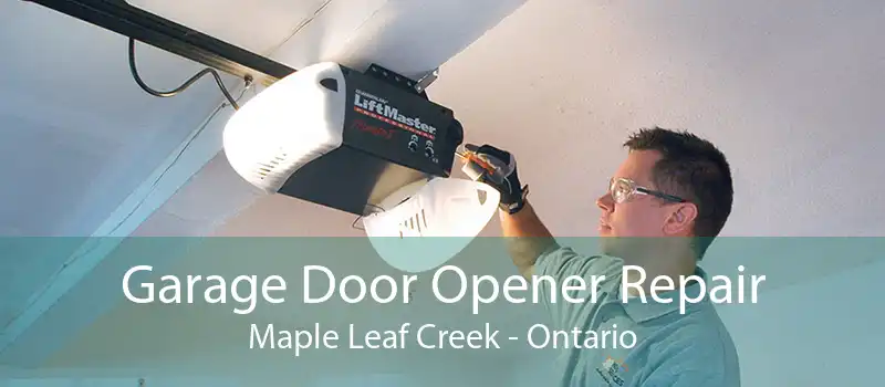 Garage Door Opener Repair Maple Leaf Creek - Ontario