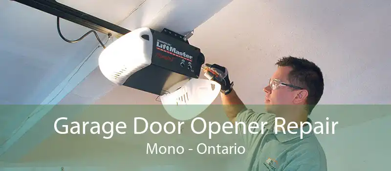 Garage Door Opener Repair Mono - Ontario