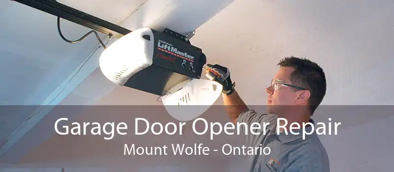 Garage Door Opener Repair Mount Wolfe - Ontario
