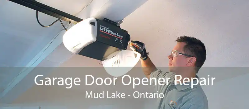 Garage Door Opener Repair Mud Lake - Ontario