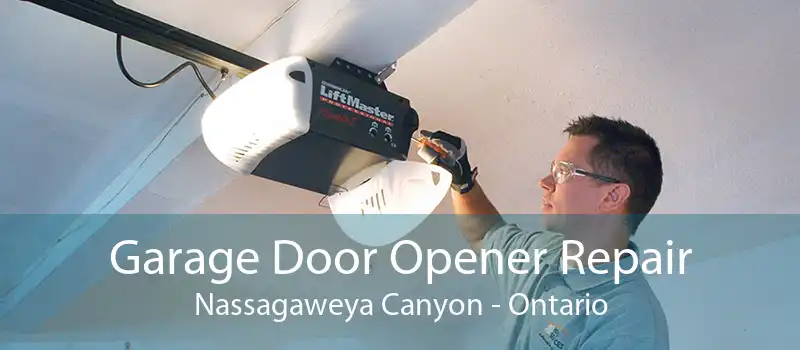 Garage Door Opener Repair Nassagaweya Canyon - Ontario