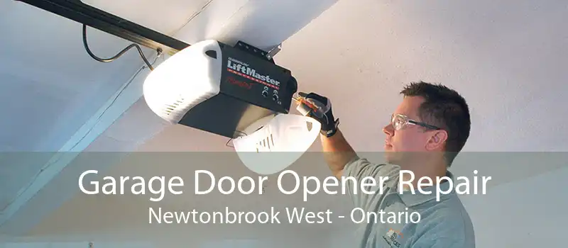 Garage Door Opener Repair Newtonbrook West - Ontario