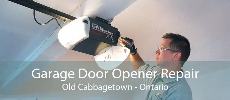 Garage Door Opener Repair Old Cabbagetown - Ontario