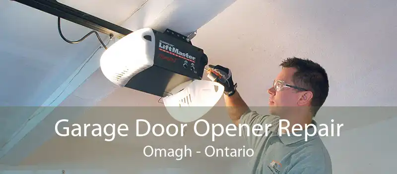 Garage Door Opener Repair Omagh - Ontario