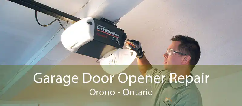 Garage Door Opener Repair Orono - Ontario