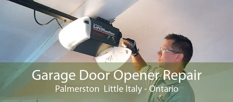 Garage Door Opener Repair Palmerston  Little Italy - Ontario