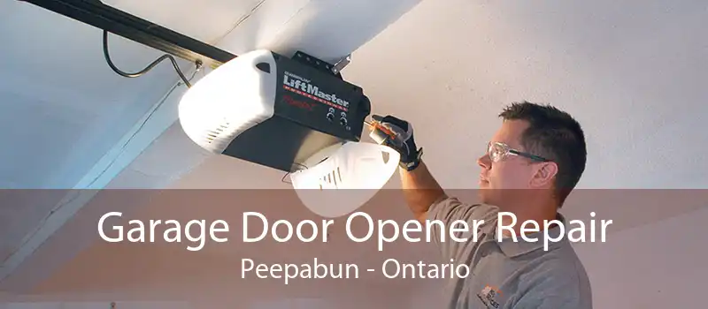 Garage Door Opener Repair Peepabun - Ontario