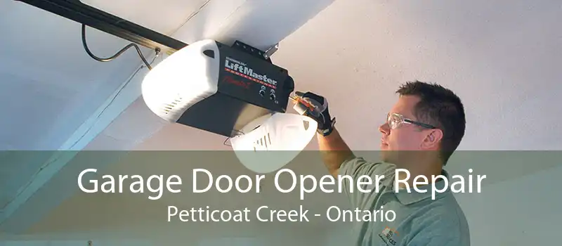 Garage Door Opener Repair Petticoat Creek - Ontario