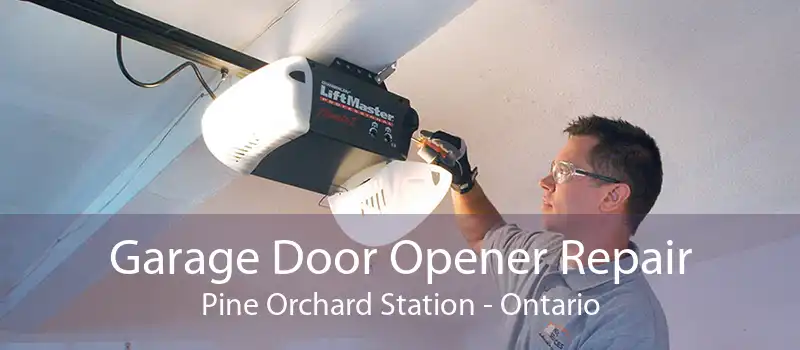 Garage Door Opener Repair Pine Orchard Station - Ontario