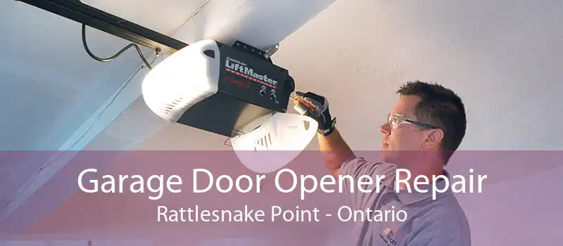 Garage Door Opener Repair Rattlesnake Point - Ontario