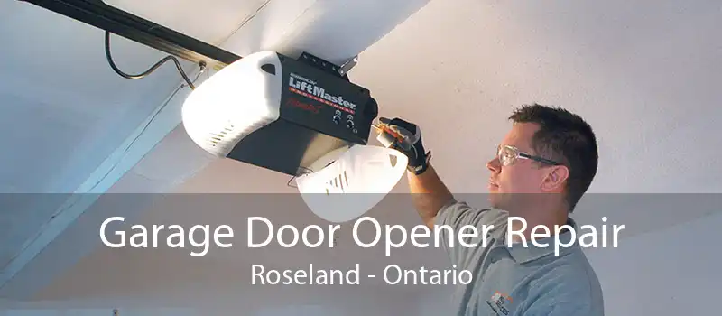 Garage Door Opener Repair Roseland - Ontario