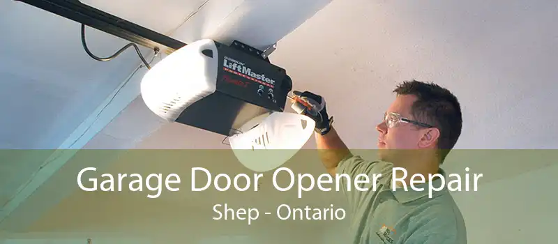 Garage Door Opener Repair Shep - Ontario