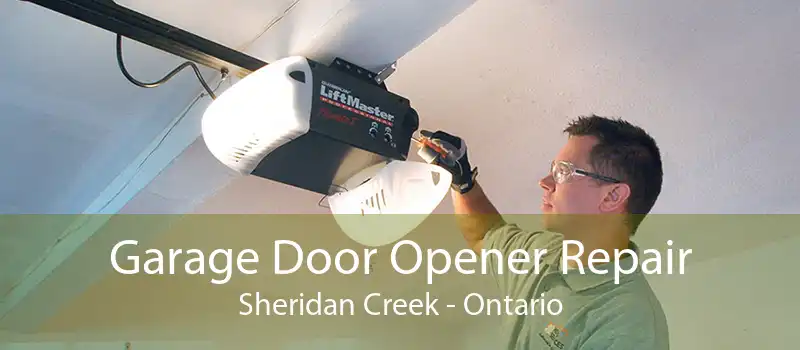 Garage Door Opener Repair Sheridan Creek - Ontario