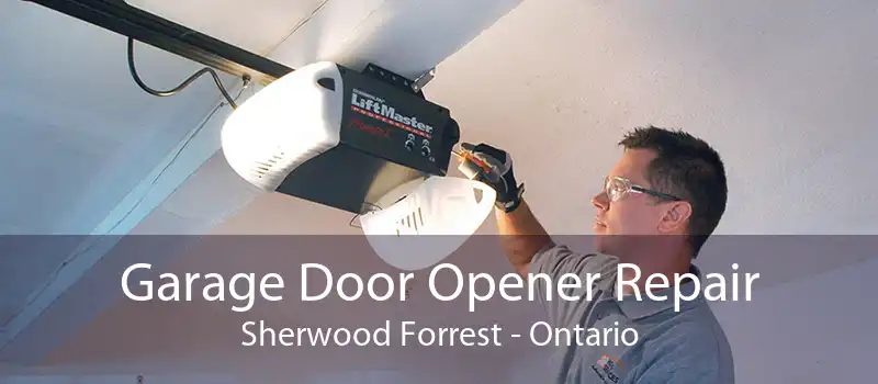 Garage Door Opener Repair Sherwood Forrest - Ontario