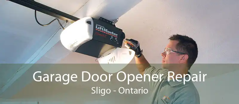 Garage Door Opener Repair Sligo - Ontario