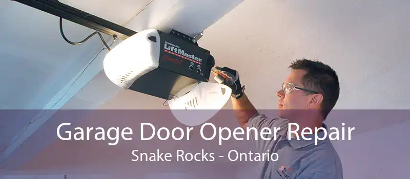 Garage Door Opener Repair Snake Rocks - Ontario