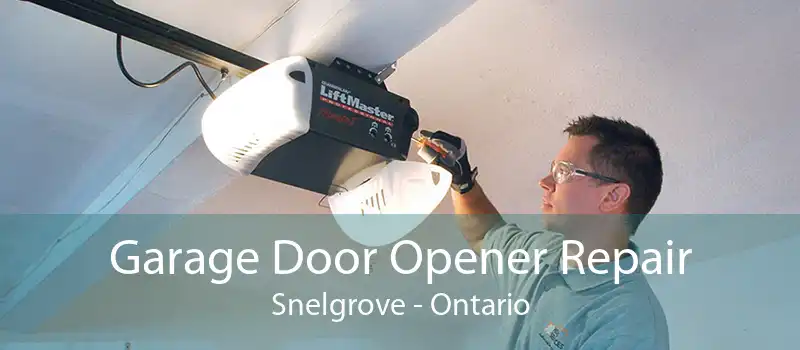 Garage Door Opener Repair Snelgrove - Ontario