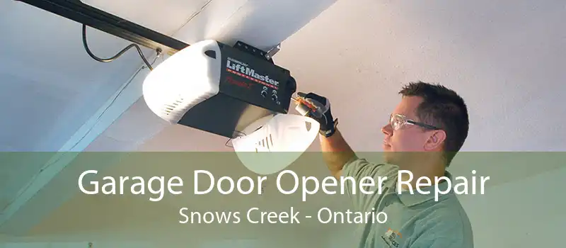 Garage Door Opener Repair Snows Creek - Ontario