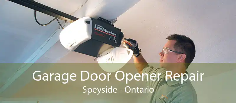 Garage Door Opener Repair Speyside - Ontario