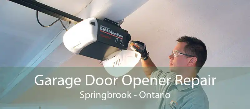 Garage Door Opener Repair Springbrook - Ontario
