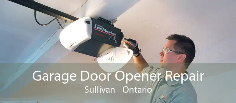 Garage Door Opener Repair Sullivan - Ontario