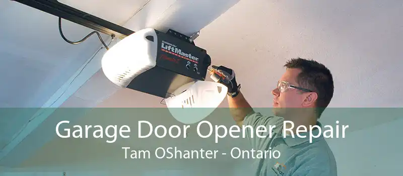 Garage Door Opener Repair Tam OShanter - Ontario