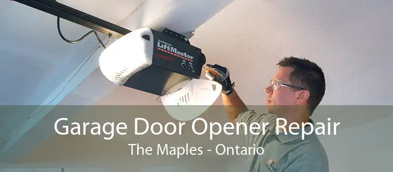 Garage Door Opener Repair The Maples - Ontario