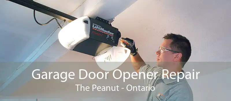 Garage Door Opener Repair The Peanut - Ontario