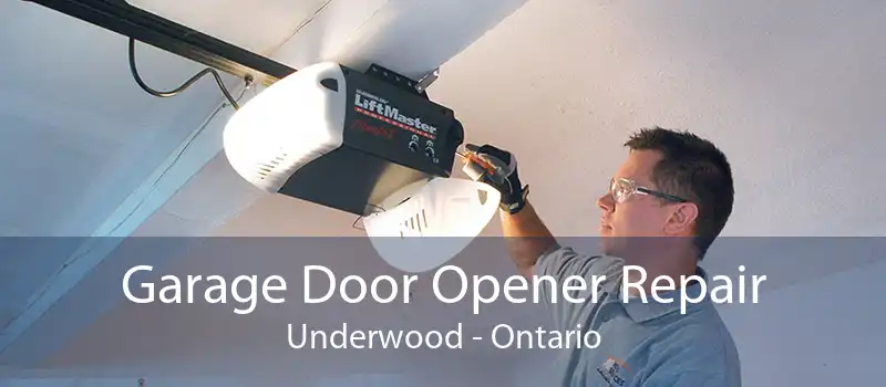 Garage Door Opener Repair Underwood - Ontario