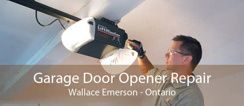 Garage Door Opener Repair Wallace Emerson - Ontario