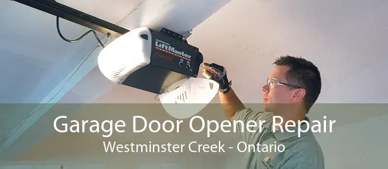 Garage Door Opener Repair Westminster Creek - Ontario