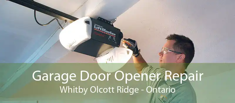 Garage Door Opener Repair Whitby Olcott Ridge - Ontario