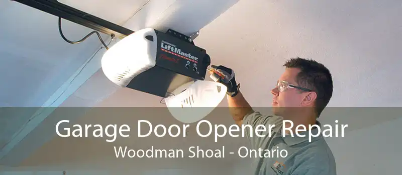 Garage Door Opener Repair Woodman Shoal - Ontario
