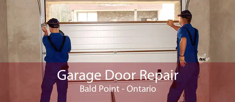 Garage Door Repair Bald Point - Ontario