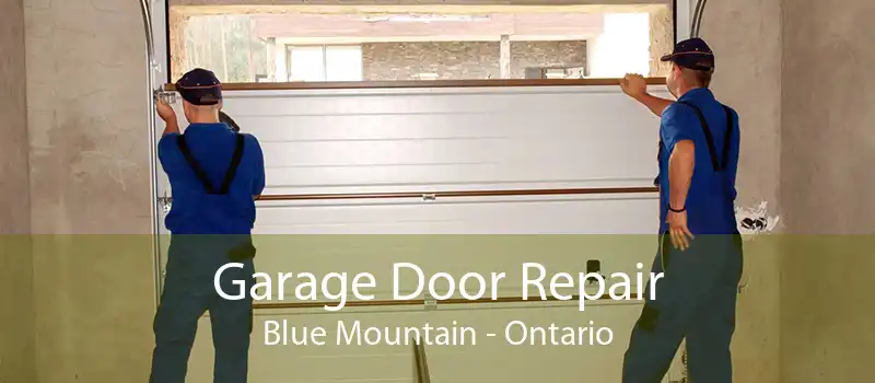 Garage Door Repair Blue Mountain - Ontario