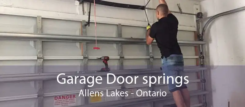 Garage Door springs Allens Lakes - Ontario