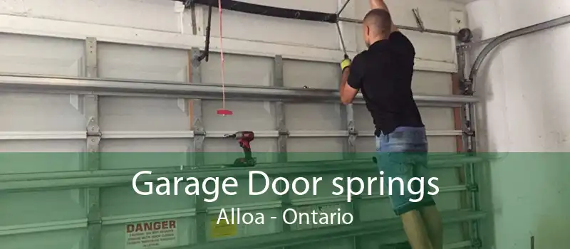 Garage Door springs Alloa - Ontario