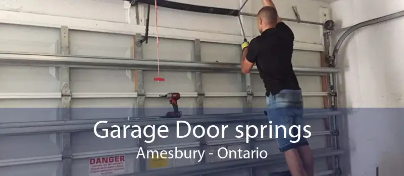Garage Door springs Amesbury - Ontario